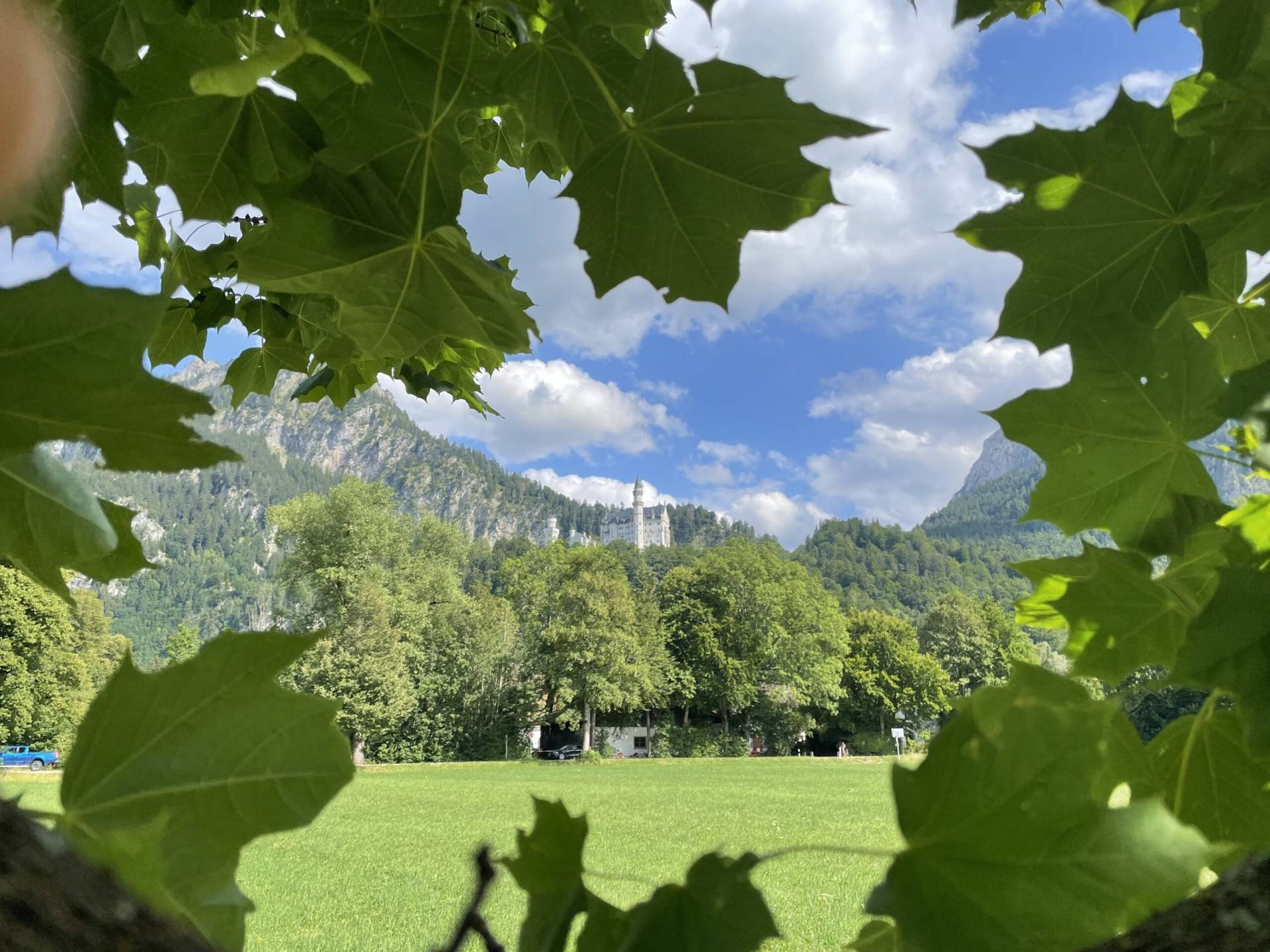 Neu angelegter Privatgarten mit Rasenfläche und Bepflanzung, umgesetzt von Freiraum aus Ochsenhausen